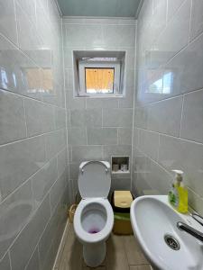 La salle de bains est pourvue de toilettes et d'un lavabo. dans l'établissement Криївка у ставка, à Berkhomet-pe-Siret