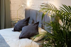 a bed with two black pillows and a plant at Sympatyczne studio z palmą areka / A nice studio with areka palm tree in Łódź