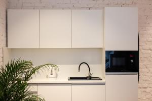 A kitchen or kitchenette at Sympatyczne studio z palmą areka / A nice studio with areka palm tree