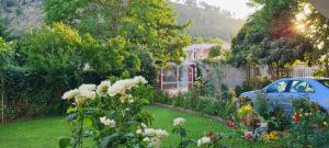 A garden outside Veranda B&B