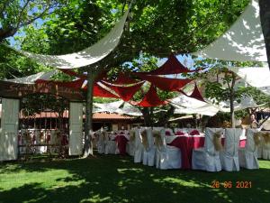 A garden outside Hotel Sierra Quilama