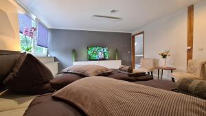 um quarto com uma cama grande e uma televisão em stay!apart Gieckau em Naumburg