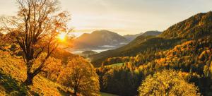 a view of a valley in the mountains with a tree at Steinberger Hof Alm inkl. Chiemgau Karte in Ruhpolding