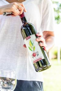 una persona está sosteniendo una botella de vino en Mettler Winery en ‘Agur