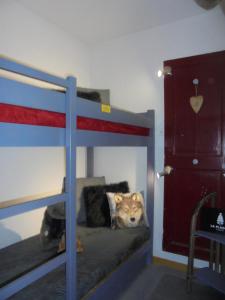 a room with a bunk bed with a cat on the bottom bunk at MON SKI A LA PLAGNE - PLAGNE BELLECOTE Résidence 3000 in Plagne Bellecote