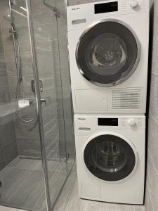 a washing machine and a dryer in a bathroom at Panorama Lodge Mountainview 208 in Tauplitz