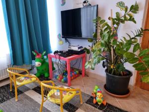 TV a/nebo společenská místnost v ubytování Balaton Holiday