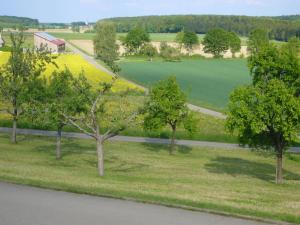 an aerial view of a field with trees and a road at Ferienwohnung Schwäbische Alb in Justingen