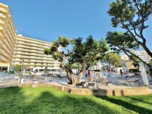 a park with a tree and chairs and a building at BQ Belvedere Hotel in Palma de Mallorca