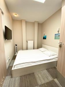 Televízia a/alebo spoločenská miestnosť v ubytovaní Hostel Promenada