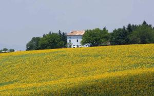 The building in which the country house is located