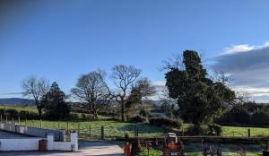 een uitzicht op een veld met bomen en een hek bij Granda Pat's Loft in Crossmaglen