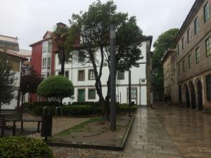 a street with buildings and trees on a rainy day at Luminoso Loft en la Ciudad Vieja in A Coruña