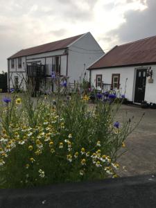 a garden with flowers in front of a building at Granda Pat's Loft in Crossmaglen