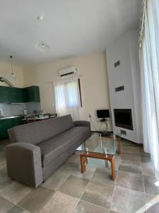 TV a/nebo společenská místnost v ubytování Kryoneri village