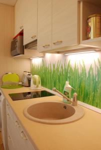 a kitchen sink with a green grass mural on the wall at Saulėto Ryto Apartamentai in Šventoji