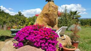 Imagen de la galería de Orange Ville, en Villamassargia