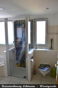 a bathroom with a shower and a toilet at Ferienwohnung Lehmann - Wernigerode in Wernigerode +13 photos