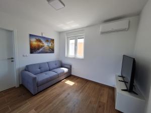 Televízia a/alebo spoločenská miestnosť v ubytovaní Apartmani Adria