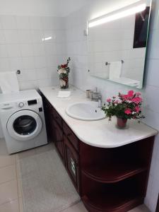 ein Badezimmer mit einem Waschbecken und einer Waschmaschine in der Unterkunft Dr. Cabral Barreto in Ponta do Sol