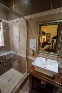 a bathroom with a sink and a shower with a mirror at Le Cozmo Guesthouse in Johannesburg +27 photos