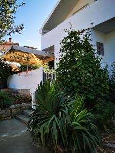Vonkajšia záhrada v ubytovaní Centrally located 3 Bedroom Holiday House O'Live with private garden