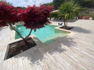 Swimmingpoolen hos eller tæt på Location bastide provencale Luberon