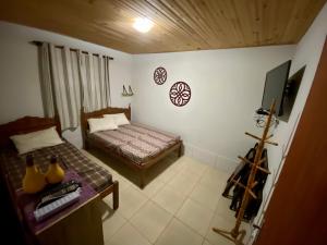 a bedroom with a bed and a tv in it at Chalé Flor da Serra in Conceição da Ibitipoca