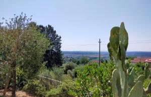 een uitzicht vanuit de tuin van een boerderij bij L'OLIVO appartamento turistico in Lucignano