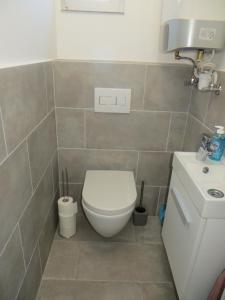 een badkamer met een toilet en een wastafel bij Éva Apartmanház 3 in Csopak