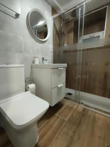 a bathroom with a toilet and a sink and a shower at Casa Luis in Arzúa +12 photos