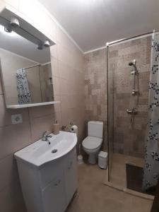 a bathroom with a toilet and a sink and a shower at VILA GE in Sebeş +68 photos