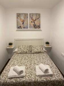 - une chambre avec un lit et 2 serviettes dans l'établissement Apartamento Corazón de Cazorla by CLABAO, à Cazorla