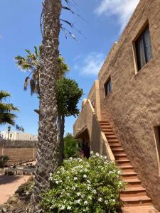 a palm tree next to a building with stairs at Casa Camar in Corralejo