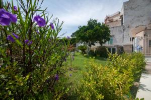 a garden with purple flowers in front of a building at IL GIARDINO in Procida