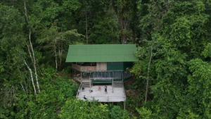 a building with a green roof in the middle of a forest at Punta Brava in Nuquí