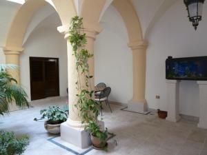 a living room with a tv and some plants at Palazzo Franza Musarò in Ugento