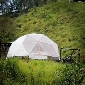 a white tent in the middle of a field at Alua Glamping in Pereira
