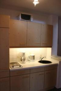 eine Küche mit einer Spüle und einer Arbeitsplatte in der Unterkunft Waldvilla am See in Pertisau