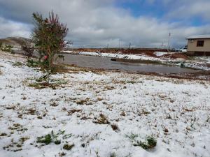 a snow covered field with a christmas tree next to a river at Pousada Rural Colina do Sol in Cambara do Sul