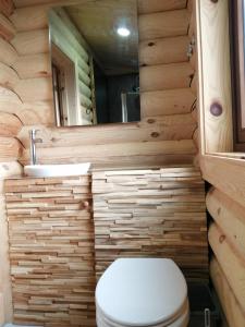 a wooden bathroom with a toilet and a sink at Ravenglass Log Cabin in Ravenglass