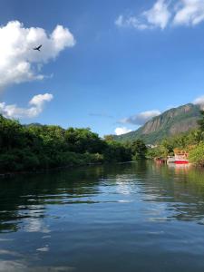 uma vista para um rio com um pássaro a voar sobre ele em Paraíso na Ilha da Gigóia no Rio de Janeiro