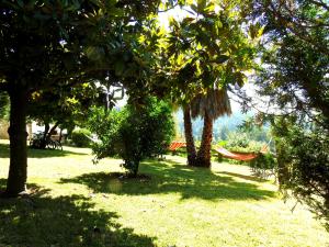 a park with trees and a hammock in the grass at Quinta de S. Vicente 317 in Vila Nova de Famalicão