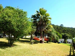 two palm trees and a hammock in a park at Quinta de S. Vicente 317 in Vila Nova de Famalicão