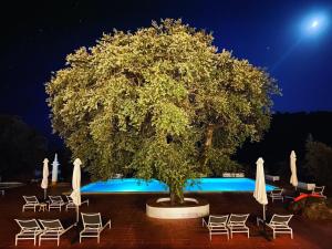 a large tree in front of a pool at night at Quinta dos Amarelos in Vaiamonte