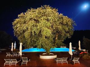 un gran árbol frente a una piscina por la noche en Quinta dos Amarelos, en Vaiamonte