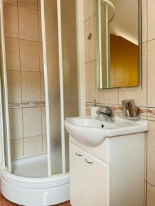 ein Bad mit einem Waschbecken und einer Dusche in der Unterkunft Apartman Mona in Mostar