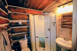 a bathroom with a shower and a toilet and a sink at The Cabins at Historic Columbine in Clark
