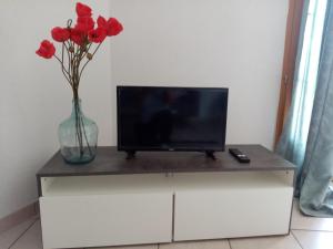 a tv on a dresser with red flowers in a vase at Quiétude et confort in Tallard