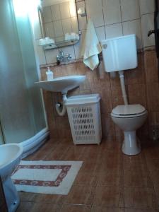 łazienka z toaletą i umywalką w obiekcie Zeleni dom w mieście Nova Varoš